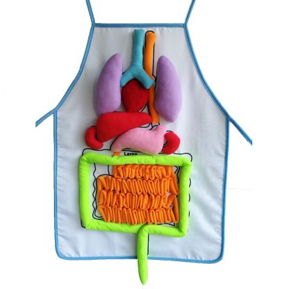 Educational Insights Toys for Children Anatomy Apron Human Body Organs Awareness Preschool Science Home school Teaching Aids